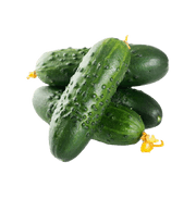 Spiky Cucumber