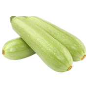 Fresh Zucchini